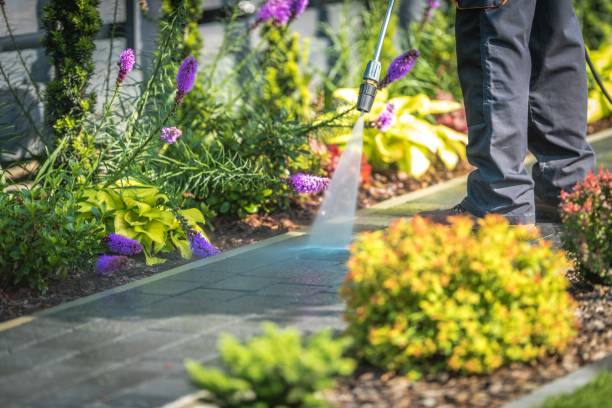 Reliable Mustang Ridge, TX Pressure Washing Services Solutions